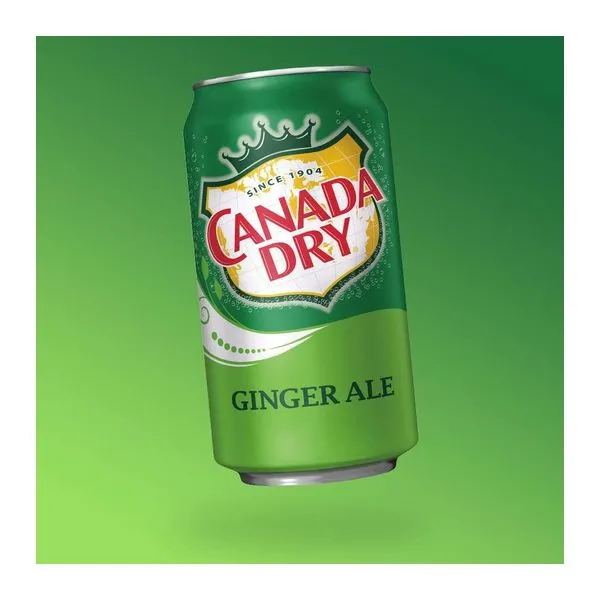 Canada Dry Ginger Ale gyömbérsör üdítőital 355 ml-es kiszerelésben